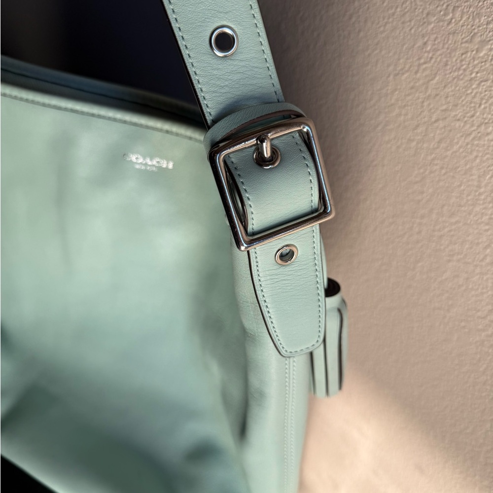 Coach Beautiful Crossbody